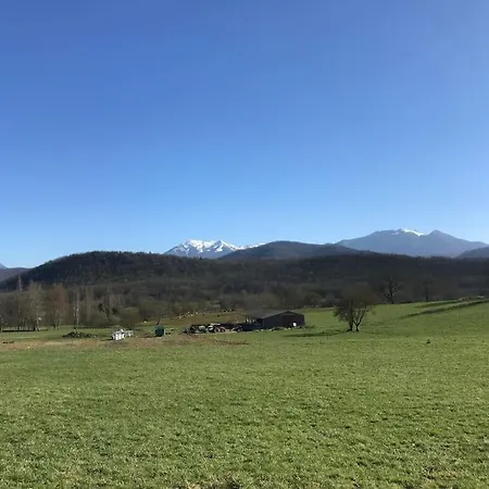 Au Coeur De Loo